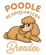 poodle hq